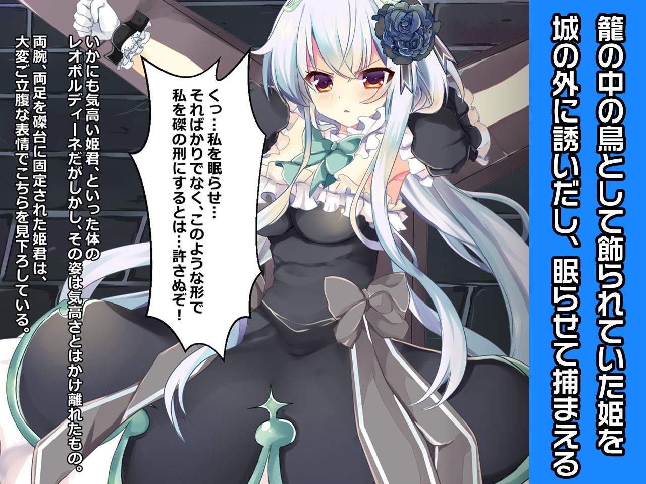 サンプル画像1:レオポルディーネ姫〜ヒロイン絶滅計画より〜 勝気なヒロインを悪堕ちさせよ！(チェリーポンド) [d_188435]