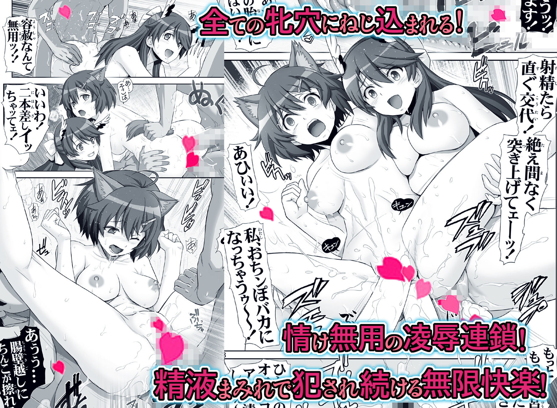 サンプル画像5:【ブレイブ・ブレイク】（雁淵姉妹・魔法力強化淫行訓練）(雷神会) [d_188518]