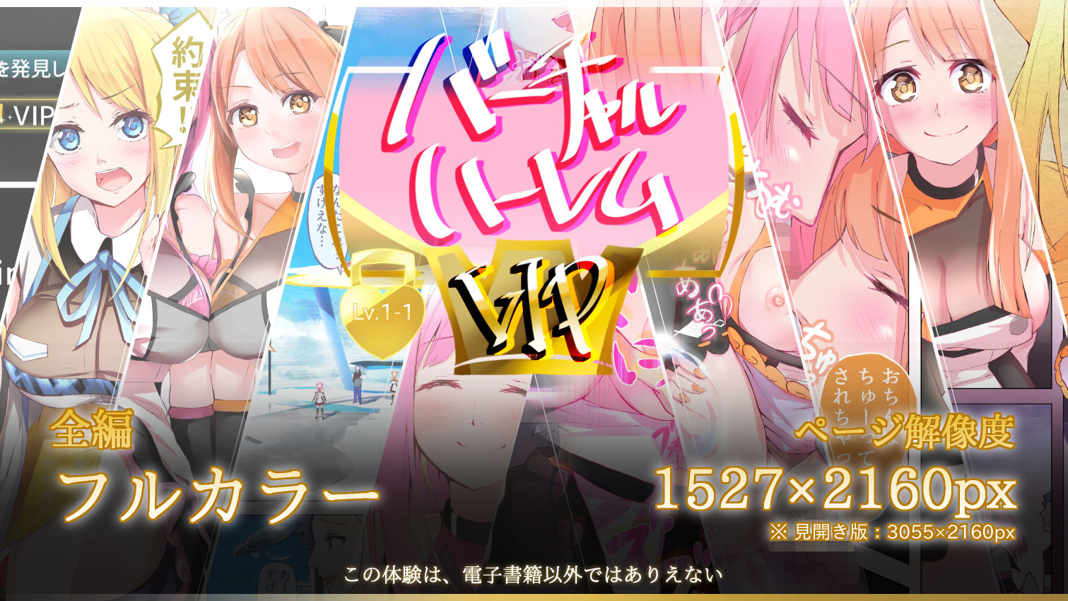 サンプル画像5:バーチャルハーレムVIP Lv.1-1(賢者タイムRY) [d_189413]