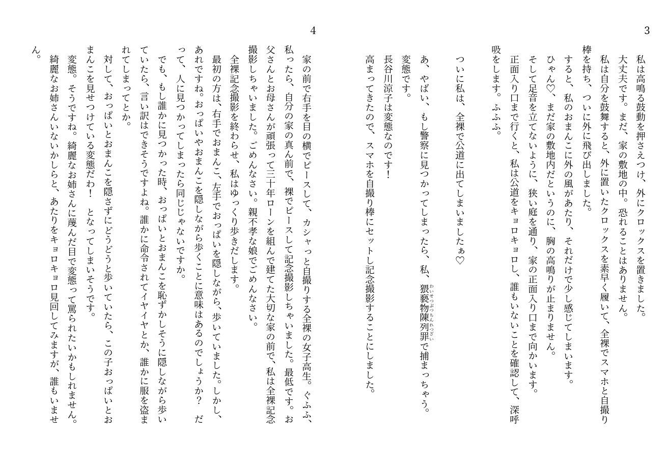 サンプル画像3:私、実は変態露出狂なのです。1(初瀬の洗濯板) [d_189455]