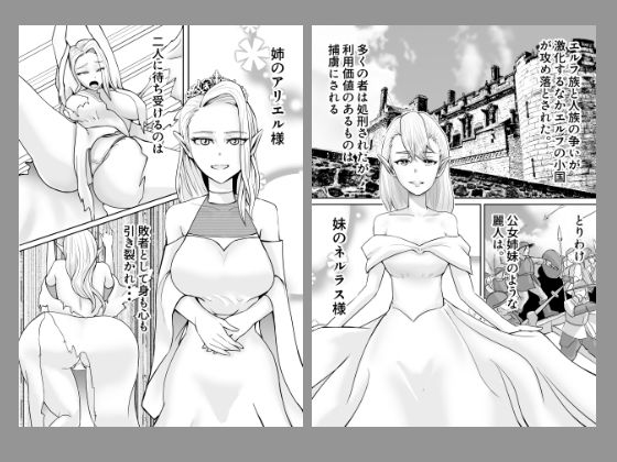 サンプル画像4:淫紋キメセク エルフ姉妹 編(os式) [d_189559]