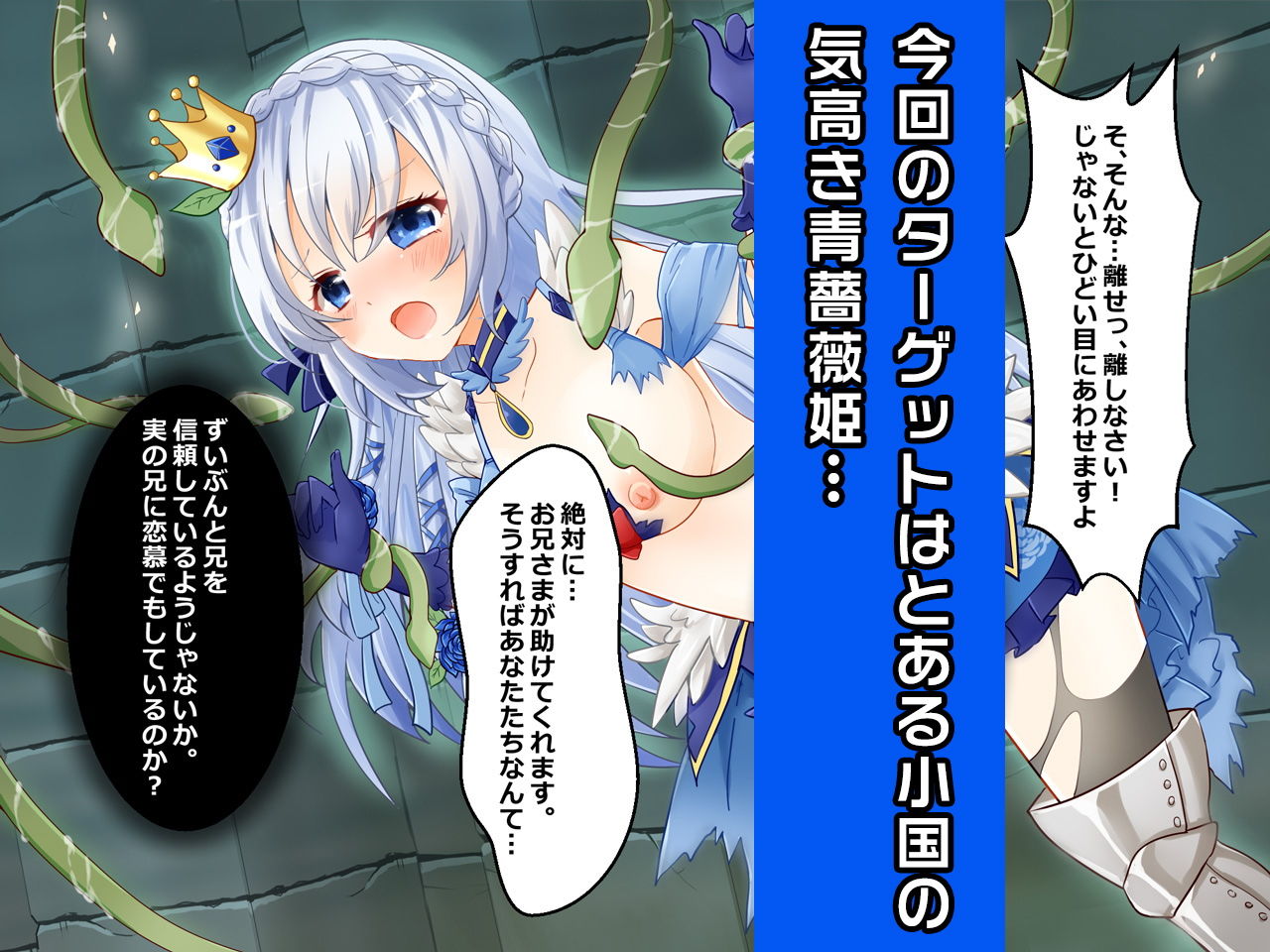 サンプル画像1:プリンセス・ソフィア〜ヒロイン絶滅計画より〜勝気なヒロインを悪堕ちさせよ！(チェリーポンド) [d_189872]