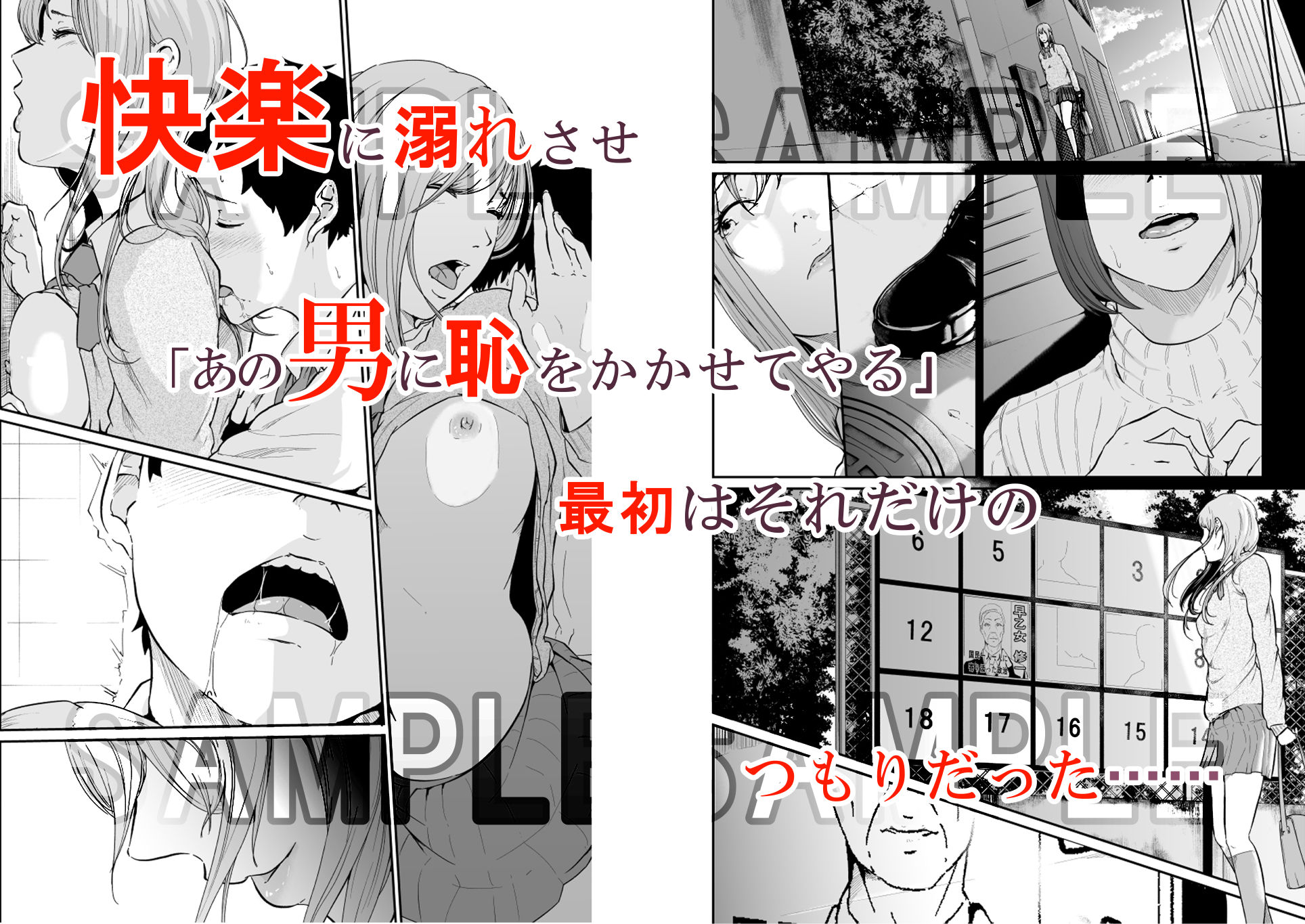 サンプル画像1:遊びのつもりだったのに（中編）(モノクロイド) [d_191151]