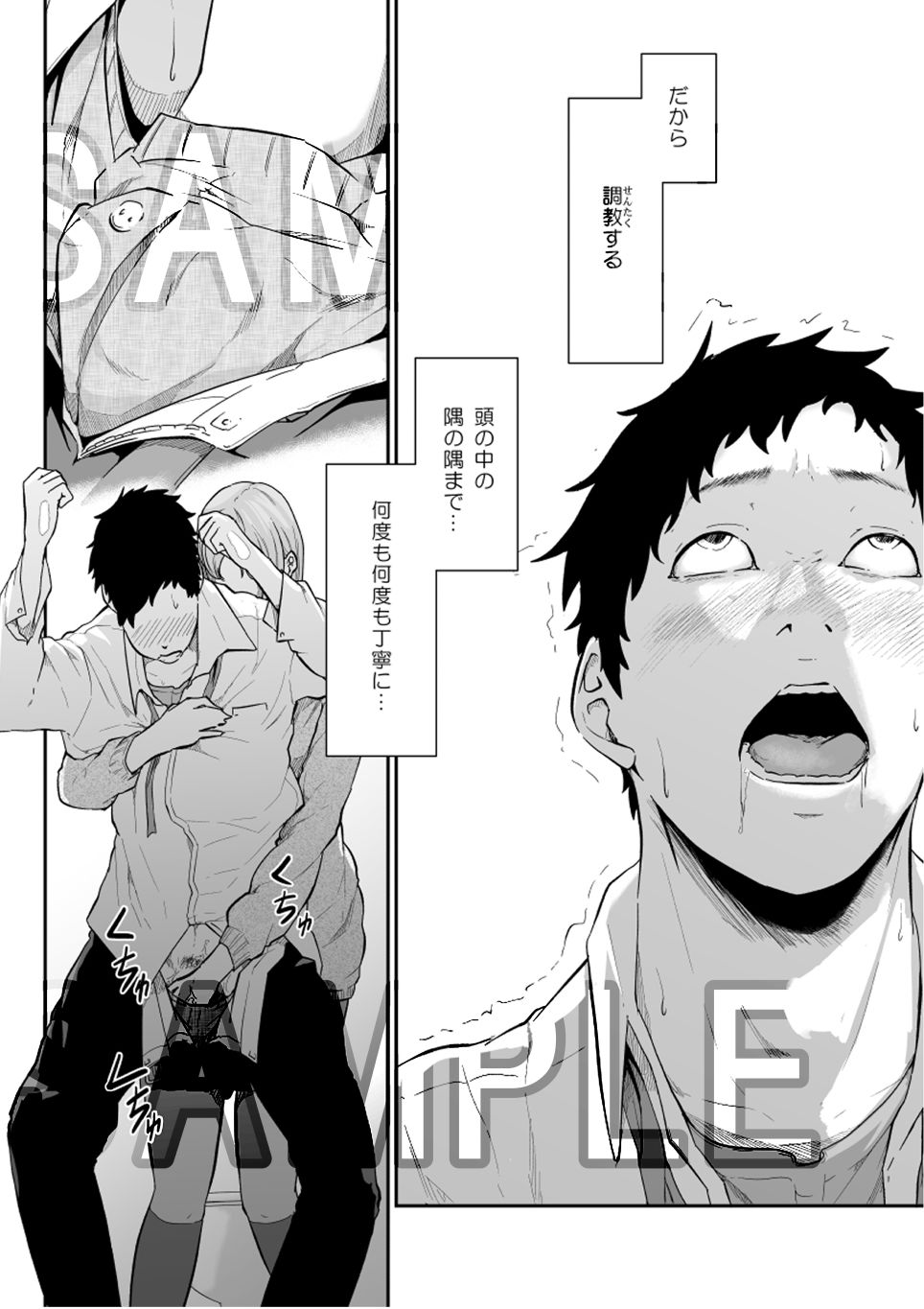 サンプル画像3:遊びのつもりだったのに（中編）(モノクロイド) [d_191151]