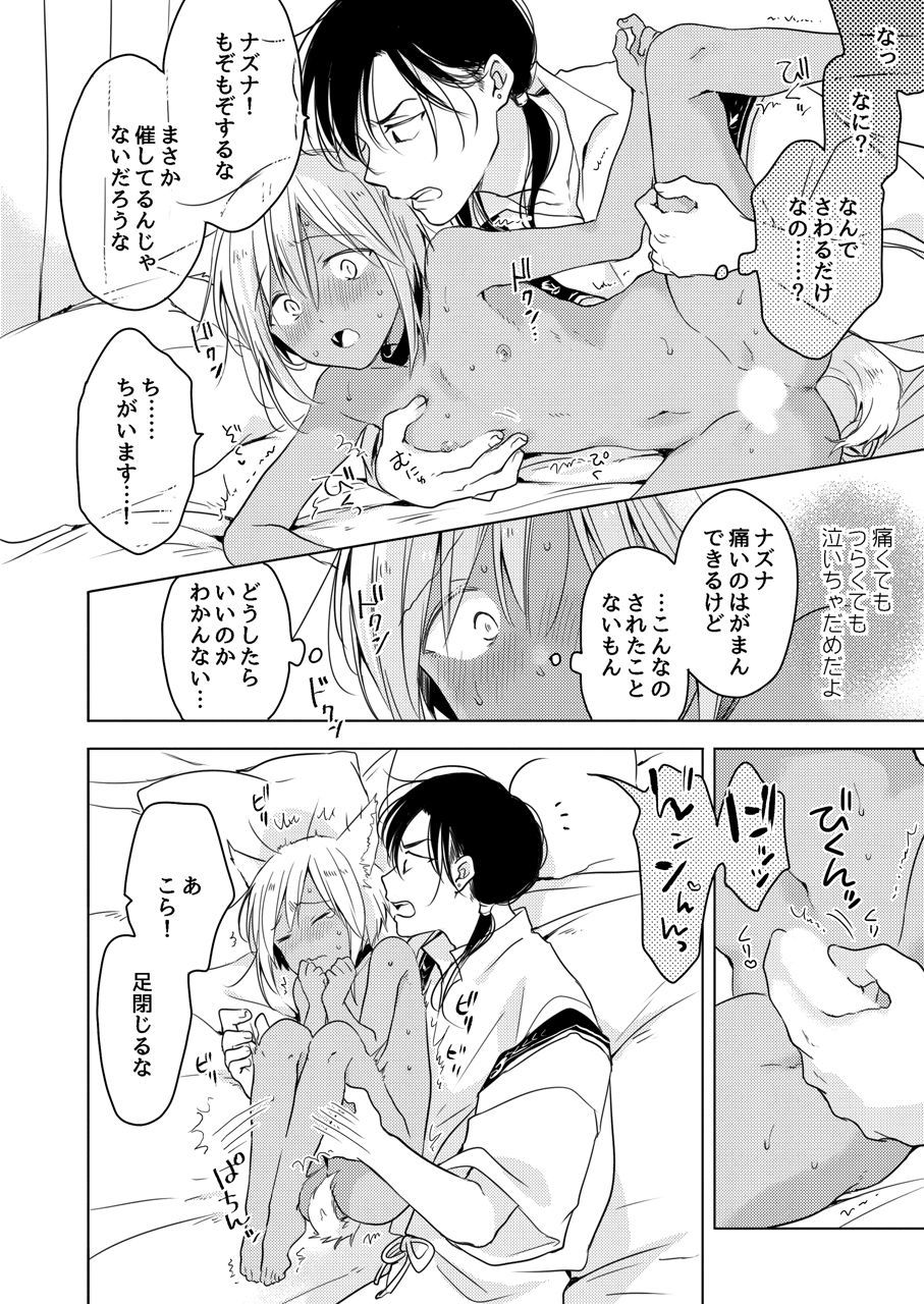 【再録集】たぶんきっと、明日のナズナは（特典付き）