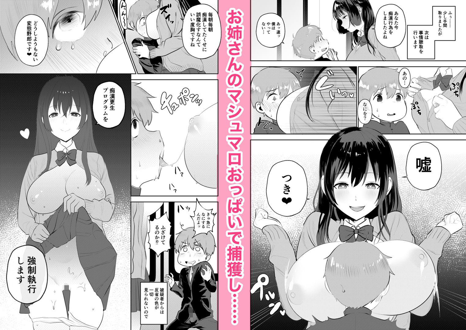 サンプル画像3:痴●GメンのHな活動記録〜おねショタ編〜(愛宮コレクション) [d_192397]