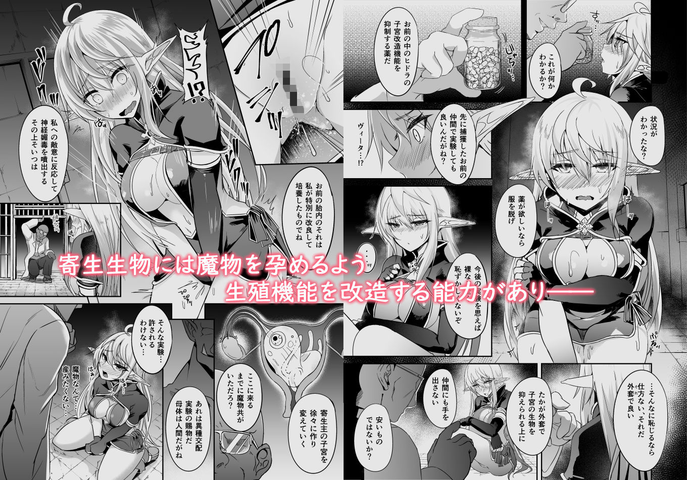 サンプル画像3:逃亡ELF5(白金堂) [d_192410]