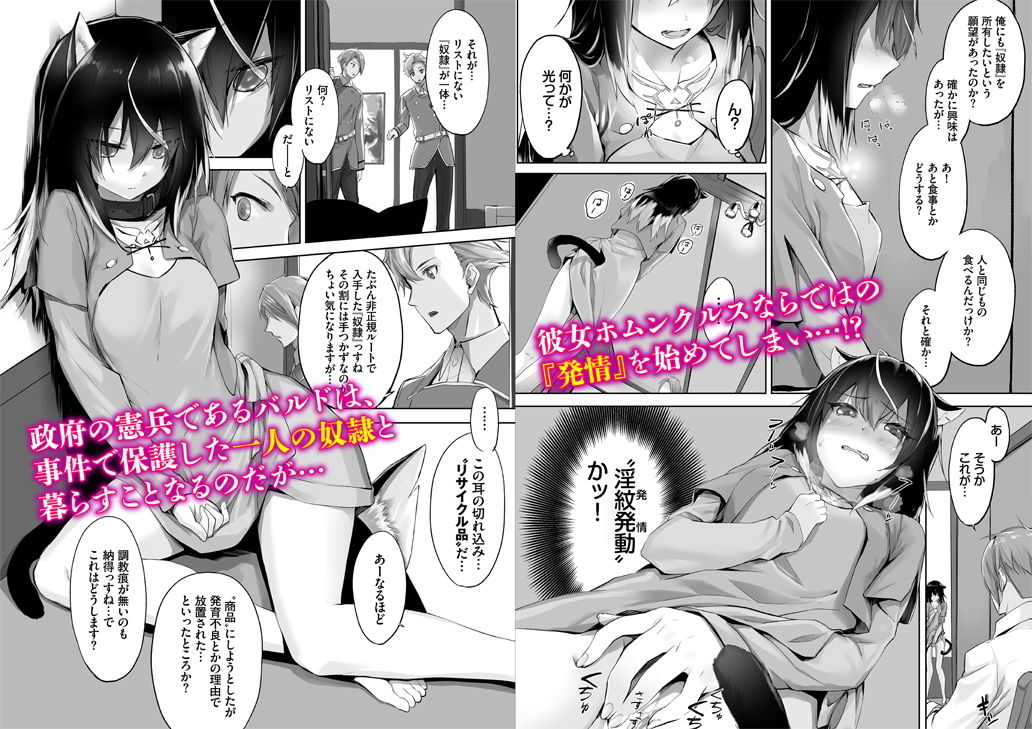 サンプル画像2:愚か者は猫耳奴●に依存する〜初めての調教生活〜合本版1(Ziggurat) [d_192948]