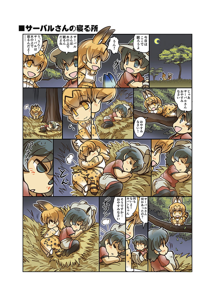 サンプル画像5:ジャパリ日和(ぷりん堂) [d_193638]