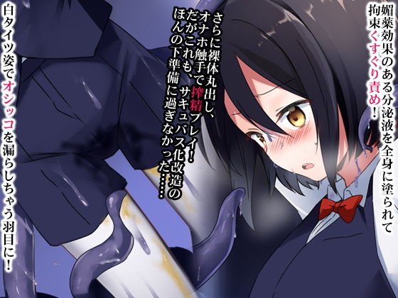 サンプル画像1:元王子でしたが、これからはサキュバスとしてご奉仕いたします。(合丼来来) [d_194012]