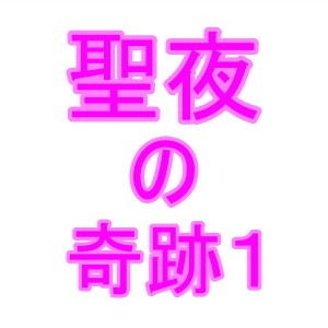 サンプル画像1:聖夜に起きた奇跡(夜見玲奈) [d_194162]