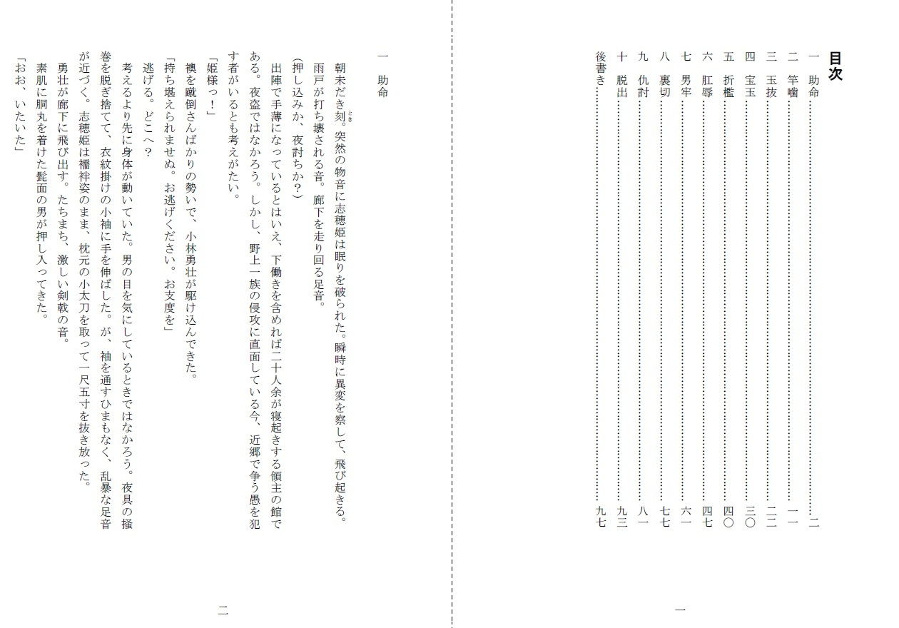 サンプル画像1:裸囚姫牢虐譚(SMX工房) [d_195725]