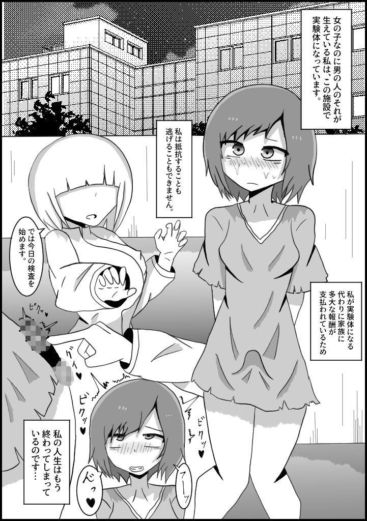 サンプル画像1:悪の組織の実験体になったふたなり奴●の日常(テリ29) [d_196879]