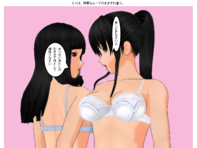 サンプル画像1:スーパーモデル取っ組み合いキャットファイト(ヒロワークス) [d_198744]