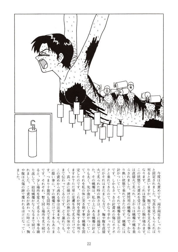 サンプル画像3:悲鳴(SPACE・FLIGHT) [d_199022]