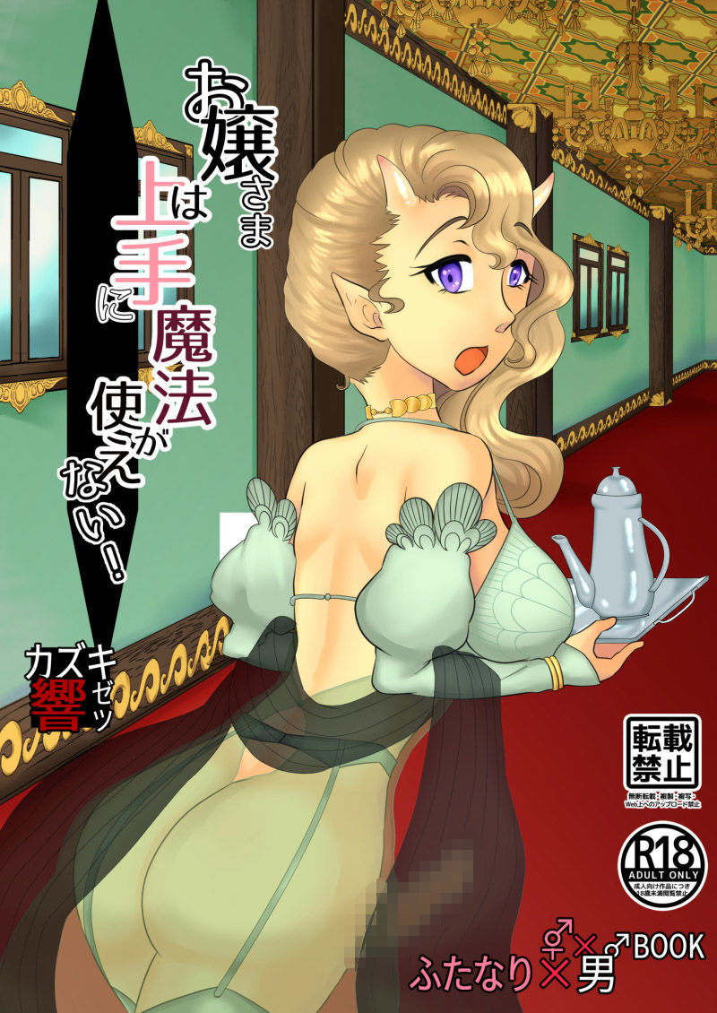 サンプル画像1:お嬢さまは上手に魔法が使えない！(自滅怪路) [d_199055]