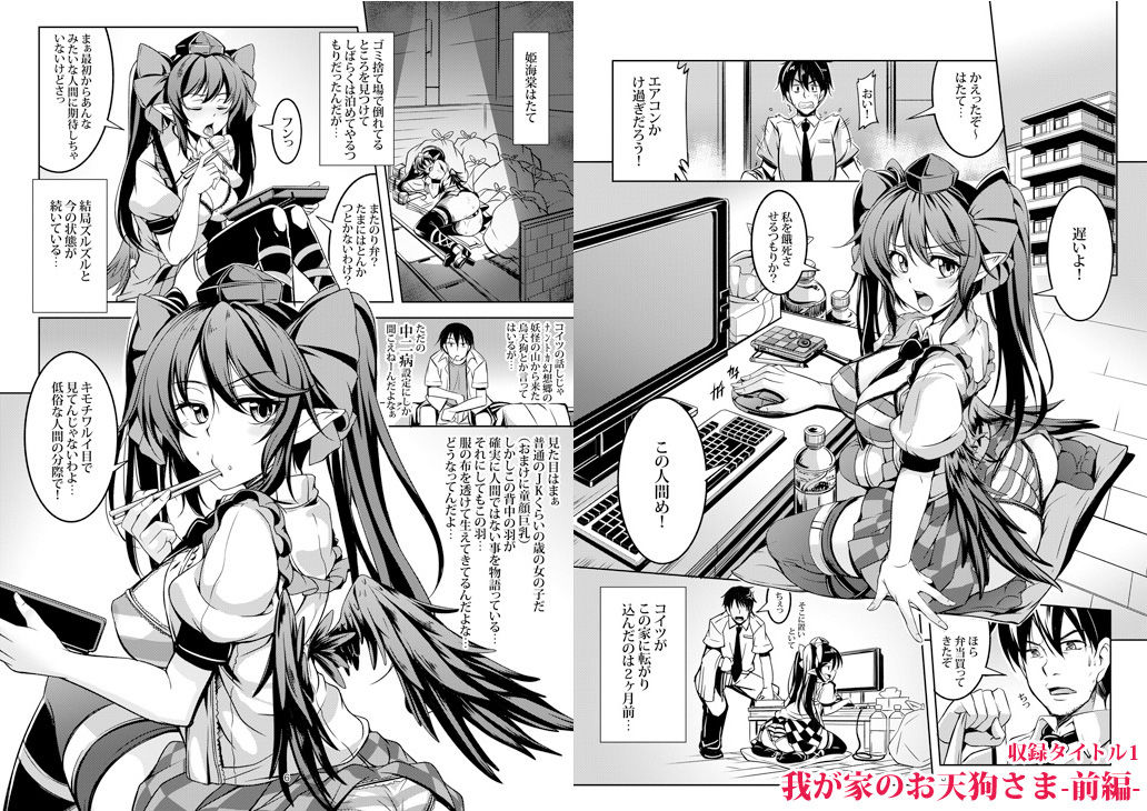 サンプル画像2:我が家のお天狗さま-総集編-(風芸WindArTeam) [d_199104]