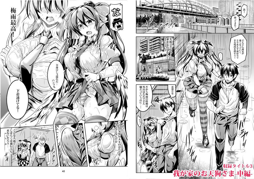 サンプル画像5:我が家のお天狗さま-総集編-(風芸WindArTeam) [d_199104]