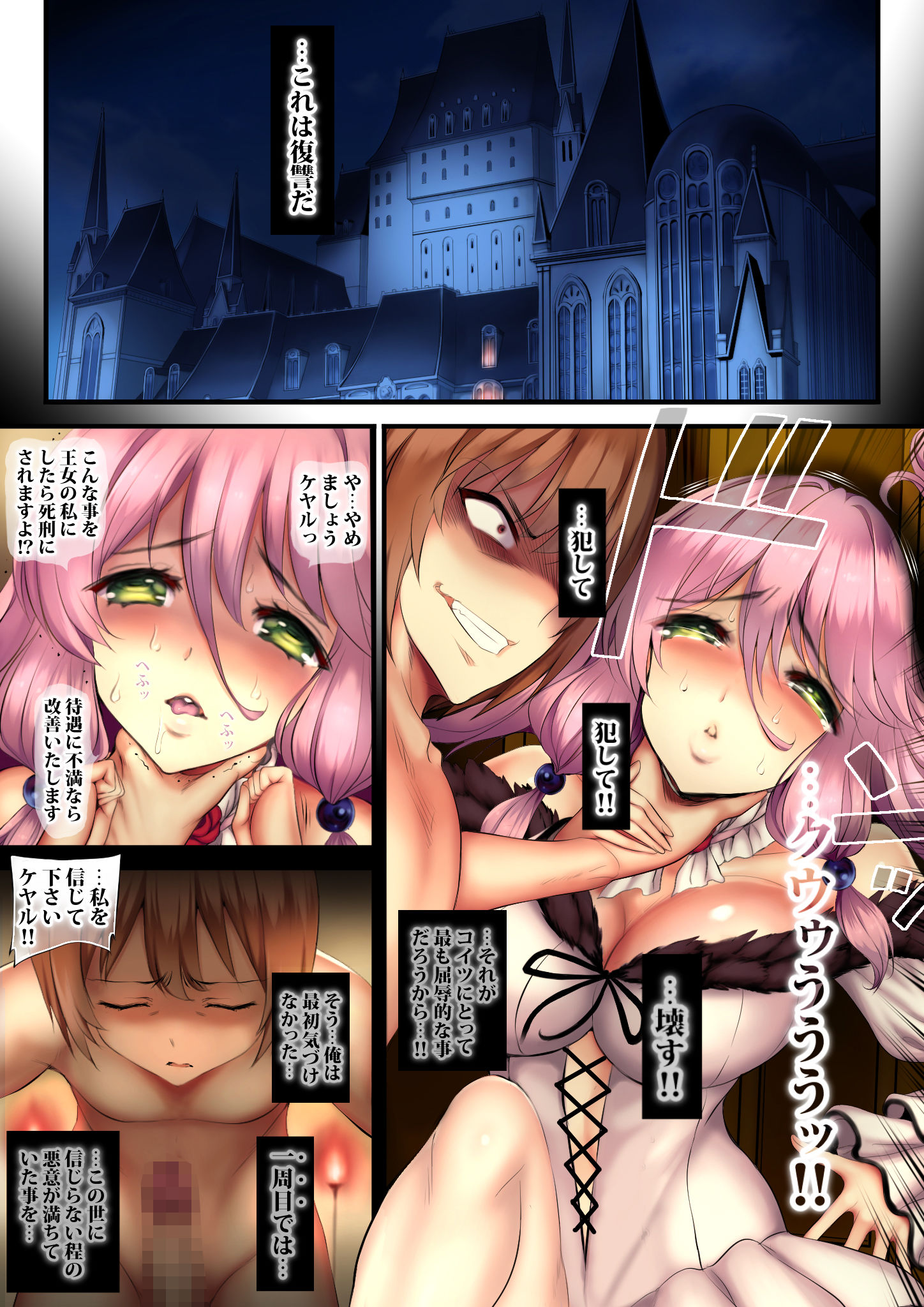 サンプル画像2:メス豚王女に人生やり直し(sad.co) [d_199434]