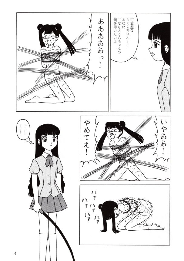 サンプル画像1:PAIN(SPACE・FLIGHT) [d_200426]