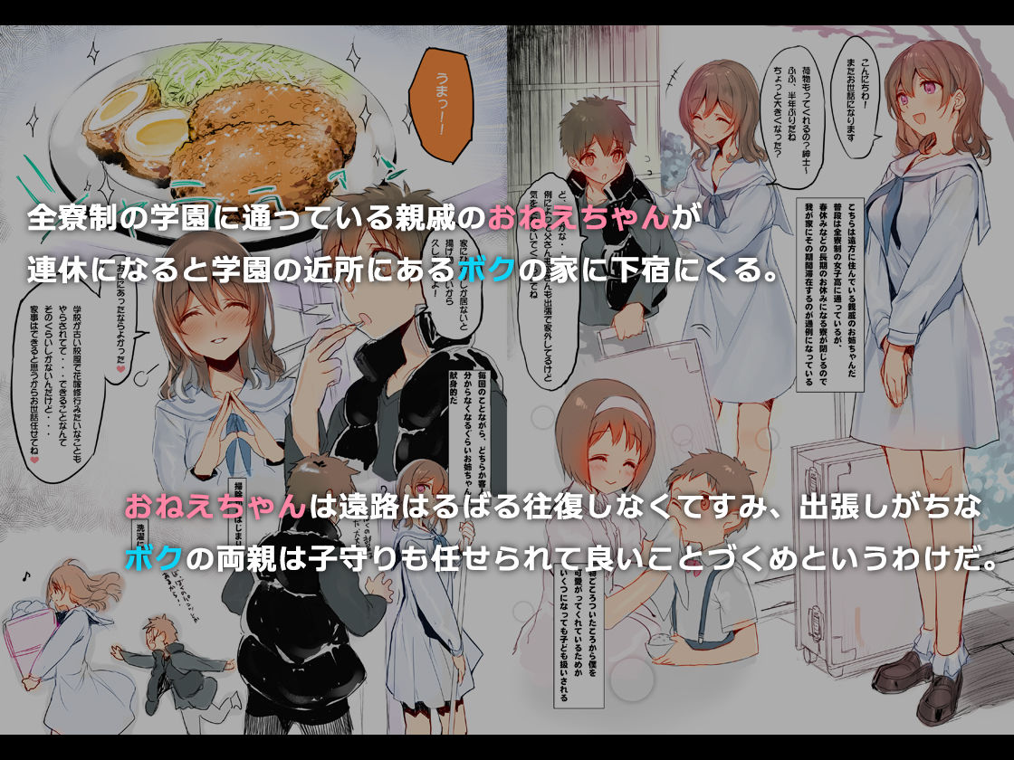 サンプル画像1:オスになった僕とメスになったおねえちゃん(WASABI) [d_200858]