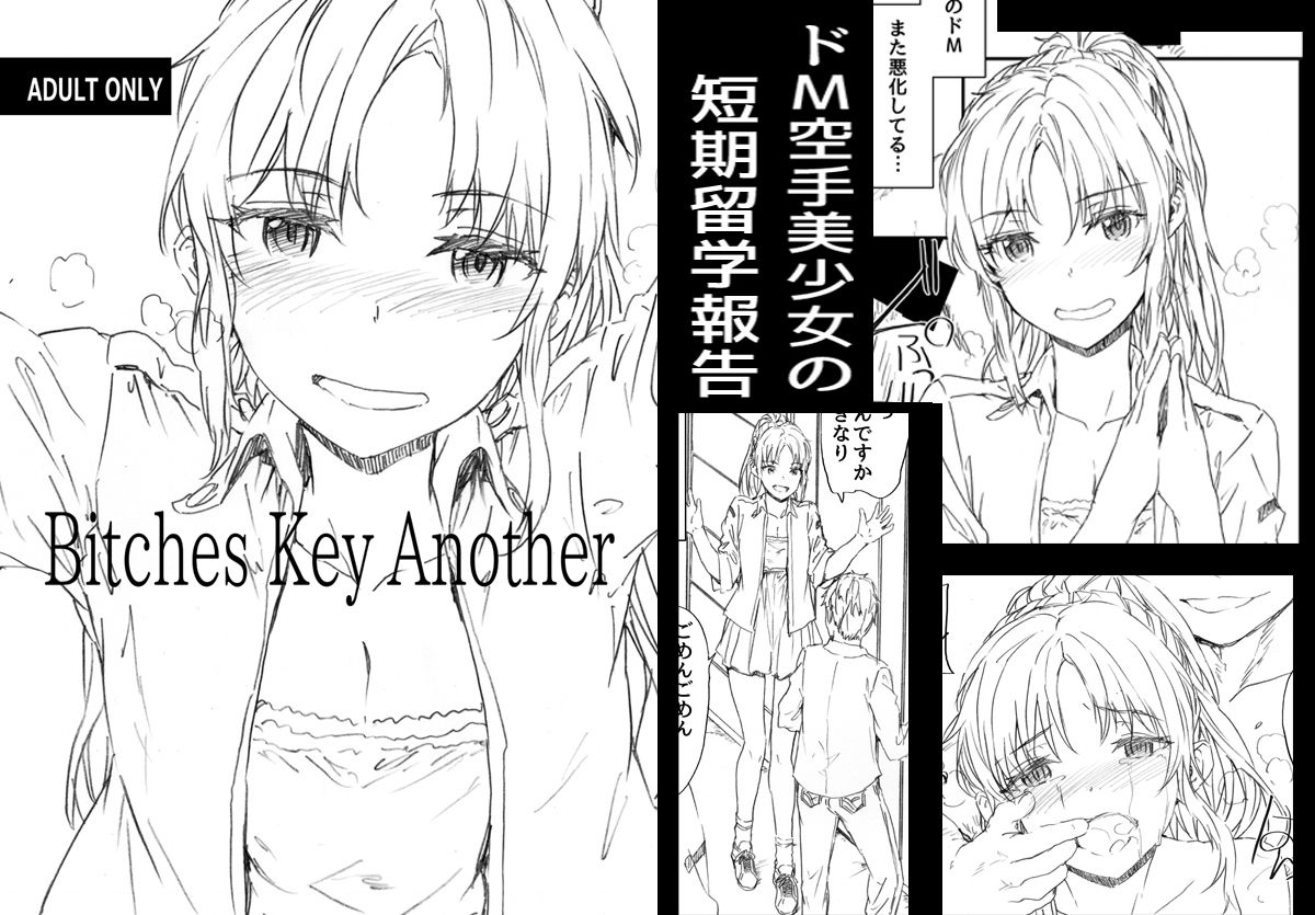サンプル画像3:Bitches Key Another(furuike) [d_201050]