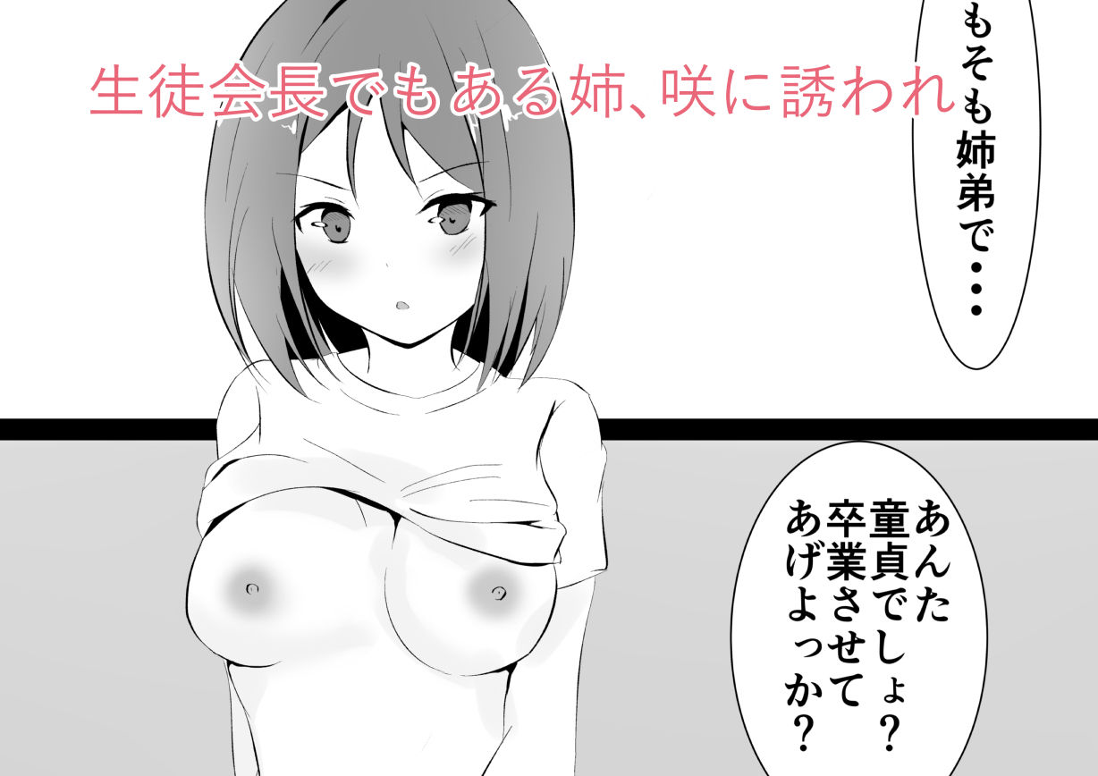 サンプル画像1:姉セフレ(青春パルス) [d_201155]