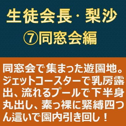 https://www.dmm.co.jp/dc/doujin/-/detail/=/cid=d_201339/