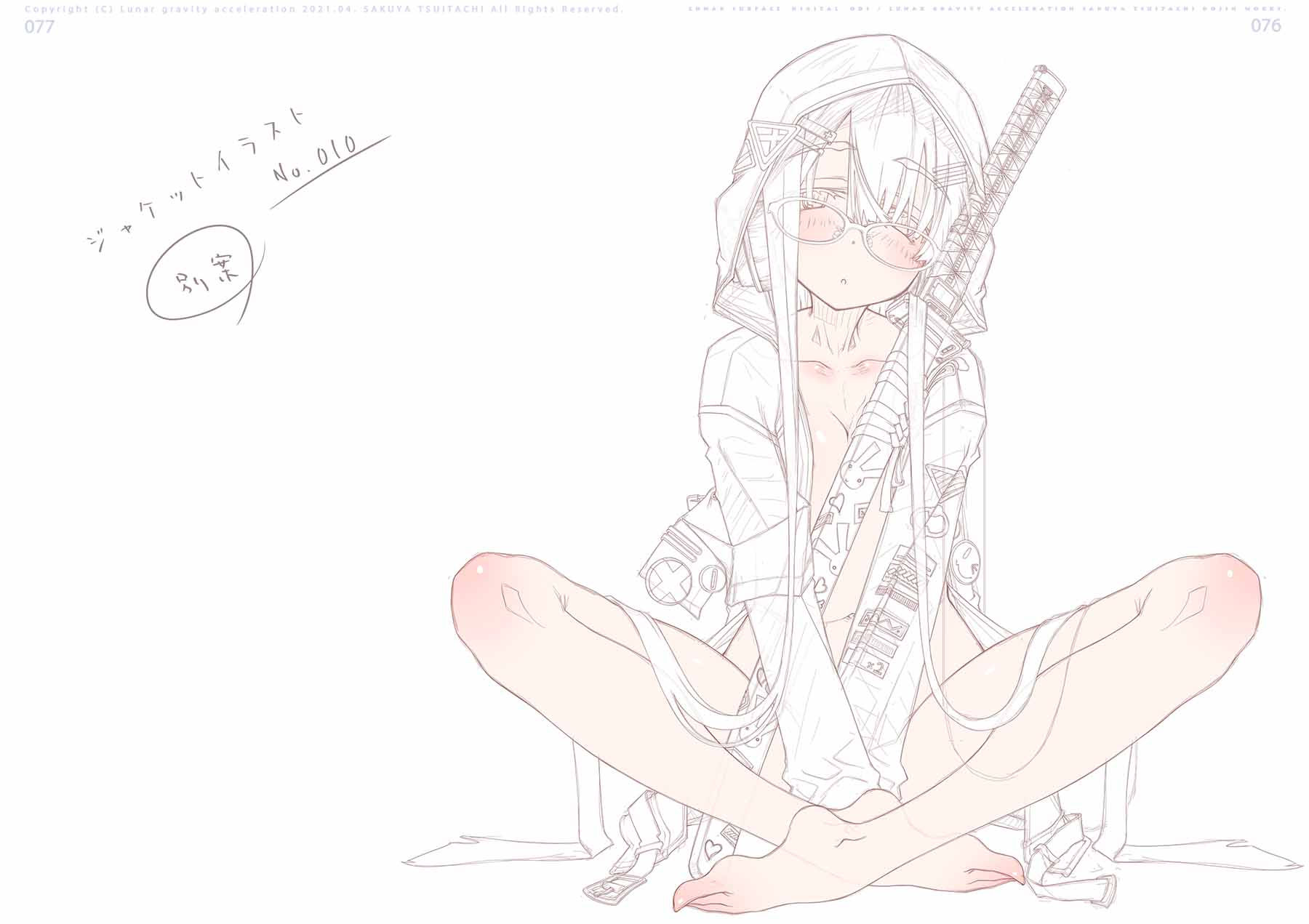 サンプル画像3:lunar surface digital 001(月面重力加速度) [d_201540]