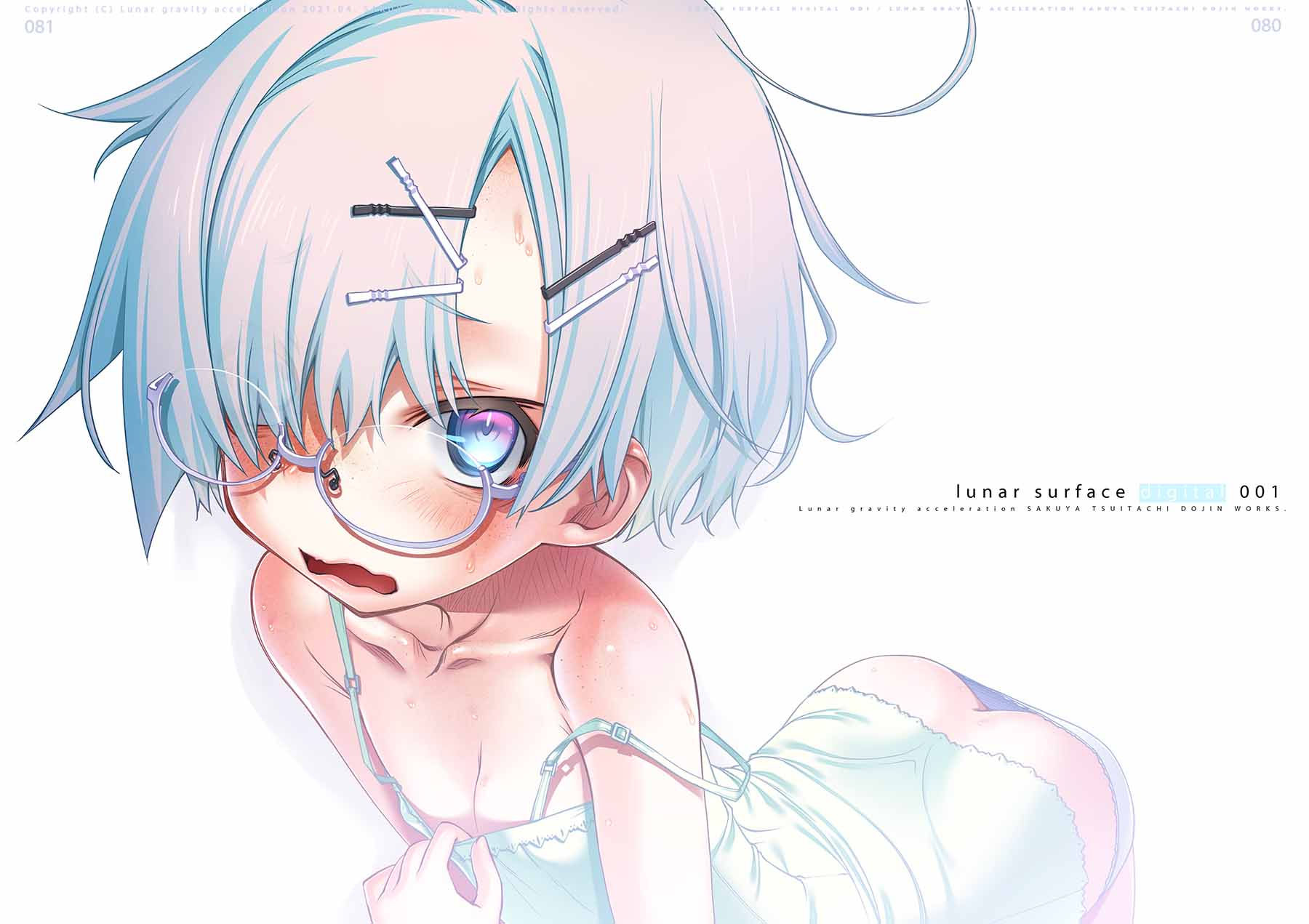 サンプル画像4:lunar surface digital 001(月面重力加速度) [d_201540]