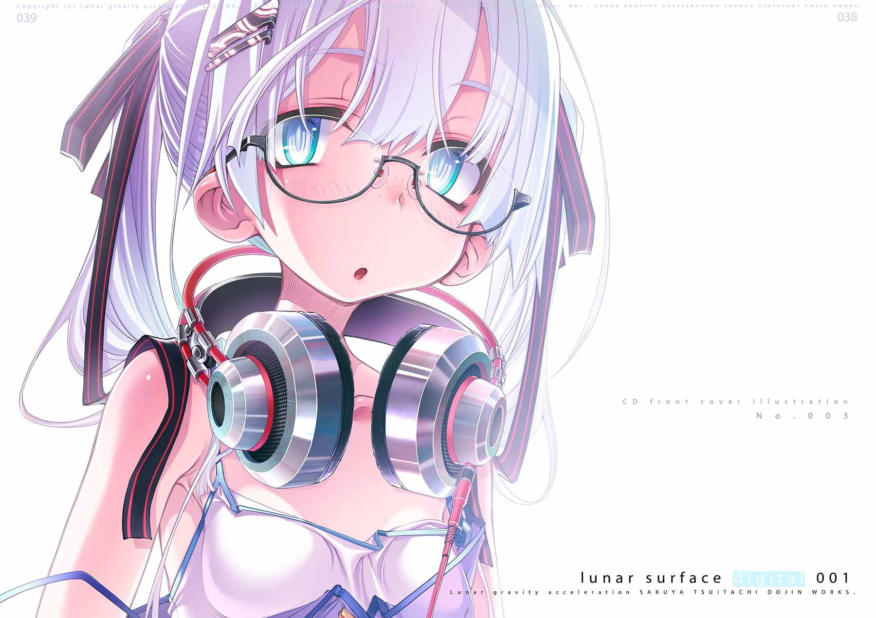 サンプル画像6:lunar surface digital 001(月面重力加速度) [d_201540]