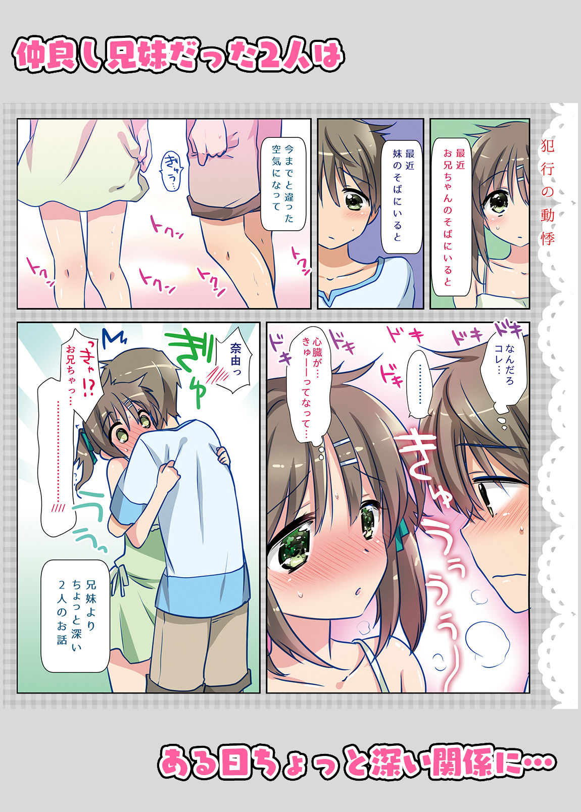 サンプル画像1:お兄ちゃんは犯罪者総集編1＋2(アクアドロップ) [d_202134]