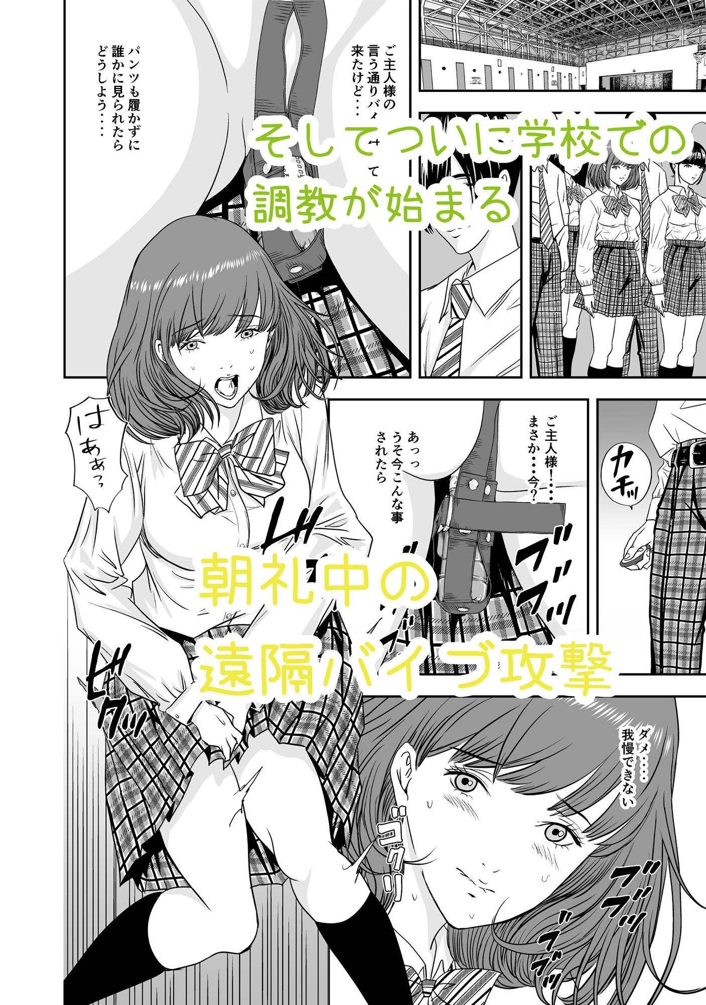 校衆便器