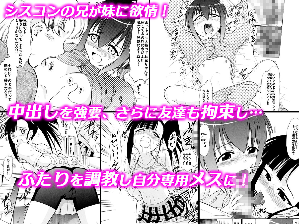 サンプル画像2:「時間停止」「妹と妹の友人」「おねショタ」の3作品セット(スタジオ・ワラビーS) [d_202391]