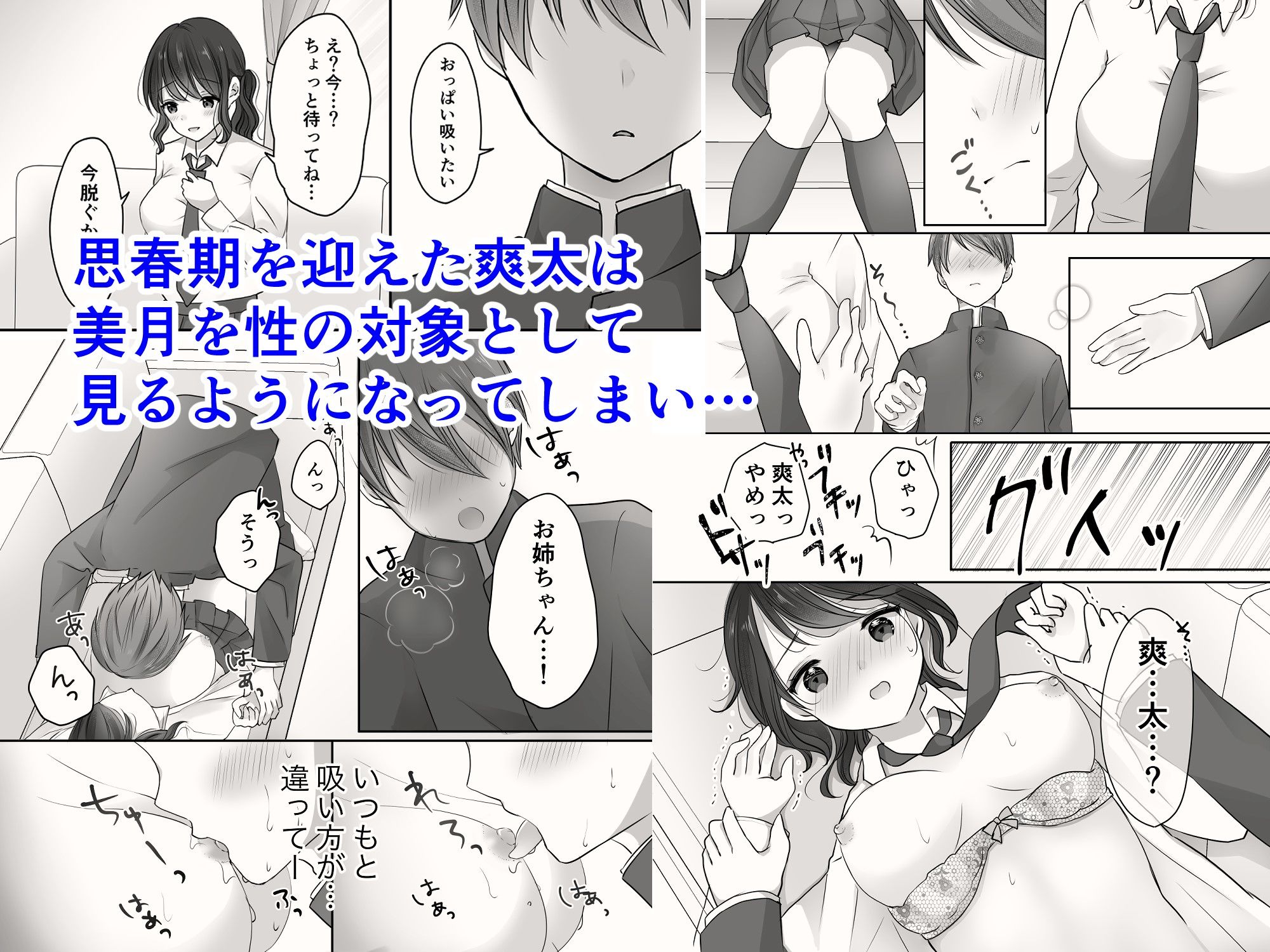 サンプル画像1:姉と弟のえっちなルーティーン(凸があれば凹がある。) [d_203129]