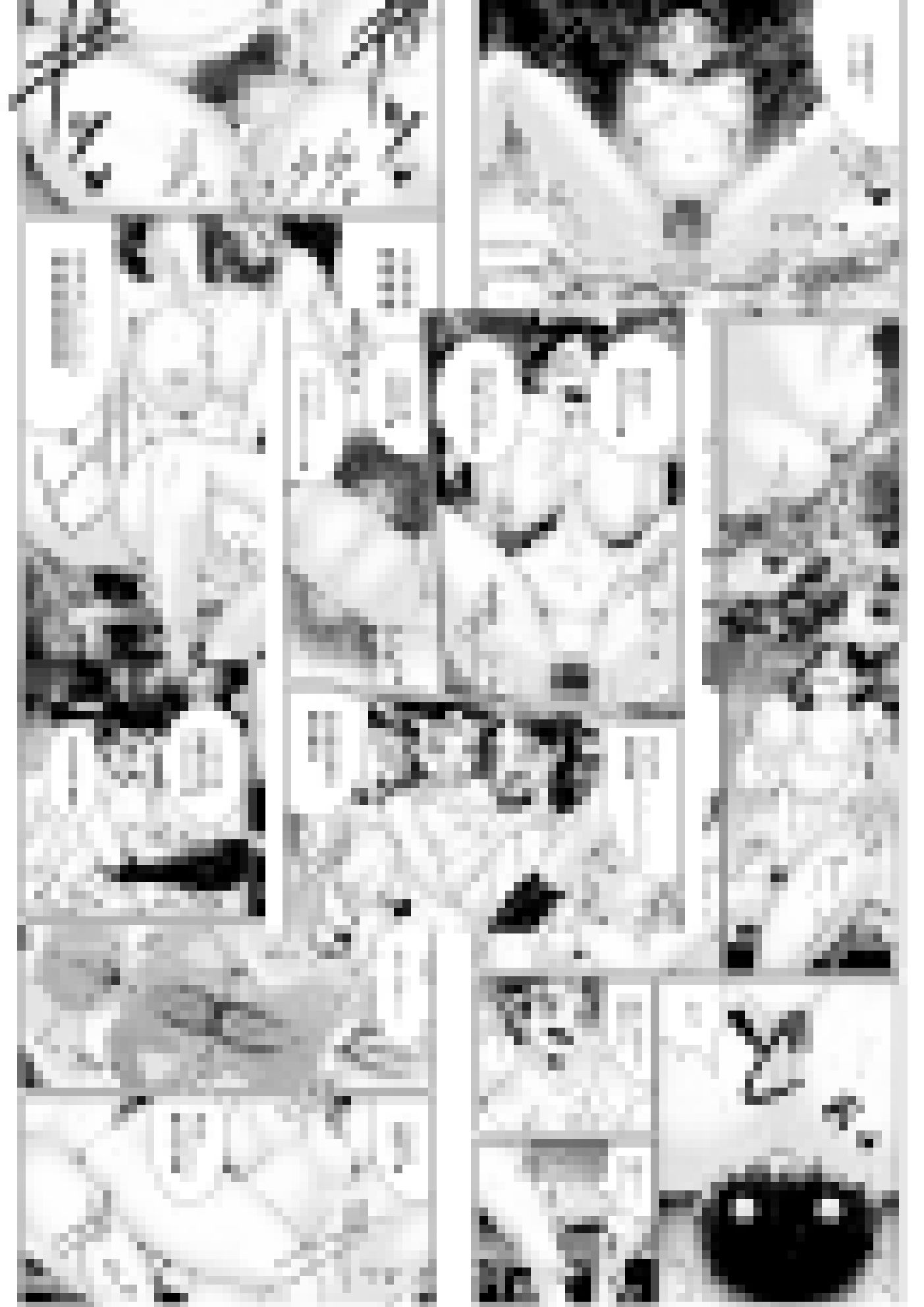 サンプル画像4:女勇者のオーク暴行録(ニワトリ仙人) [d_204263]