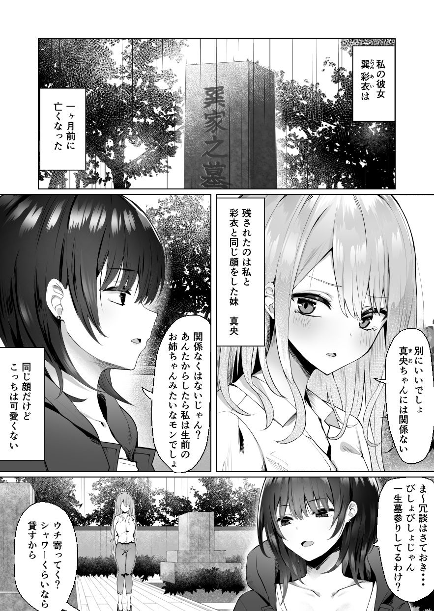 サンプル画像6:次の人生のわたしへ(ピリオデストラクション) [d_204574]