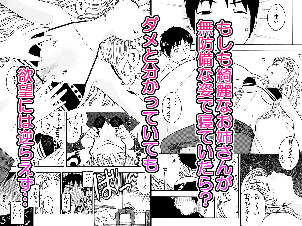 サンプル画像1:ナミさんとセックス(にいるまの小屋) [d_205429]