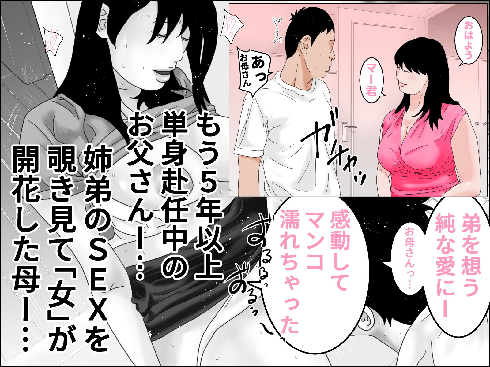 サンプル画像3:僕と姉とそして母(じゅんぴちゅ) [d_205882]