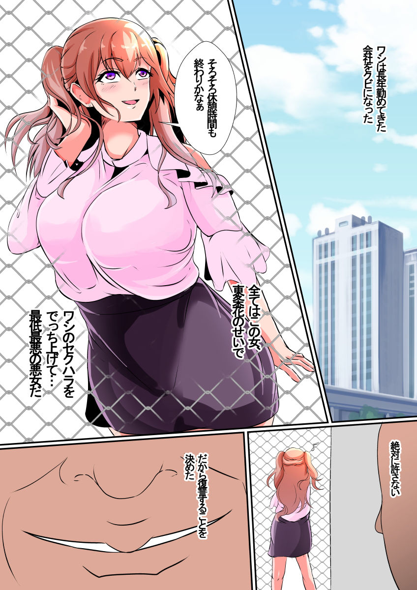 サンプル画像2:皮化報復(しまかわ) [d_206002]