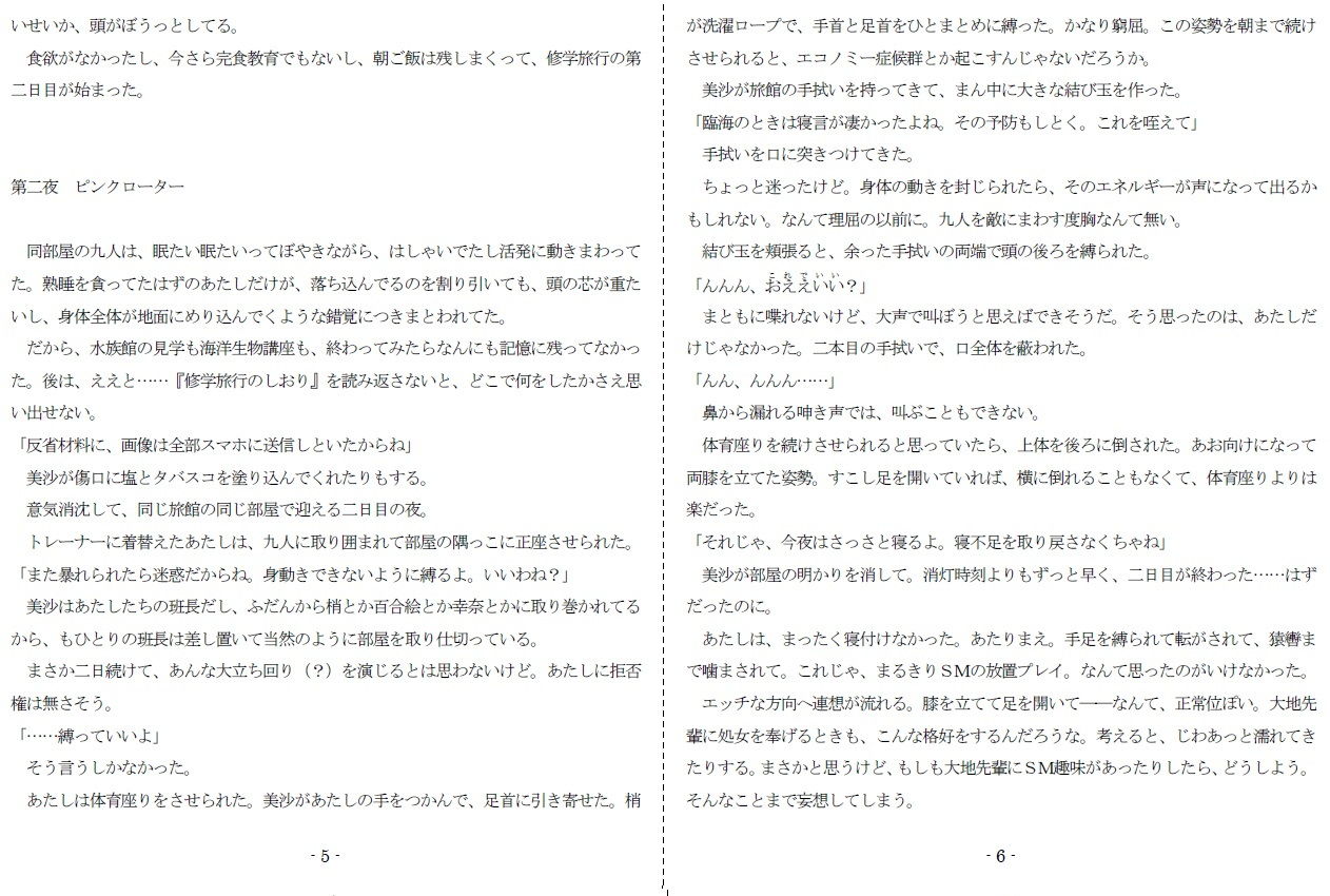 サンプル画像3:修学旅行Mデビュー(SMX工房) [d_206316]