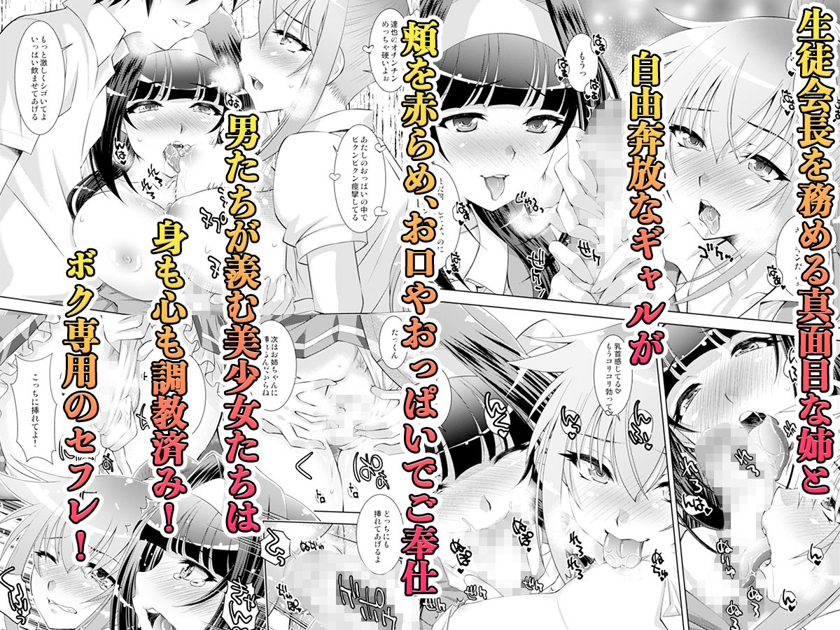 サンプル画像3:姉と姉友は僕のセフレ(スタジオ・ワラビーS) [d_207706]