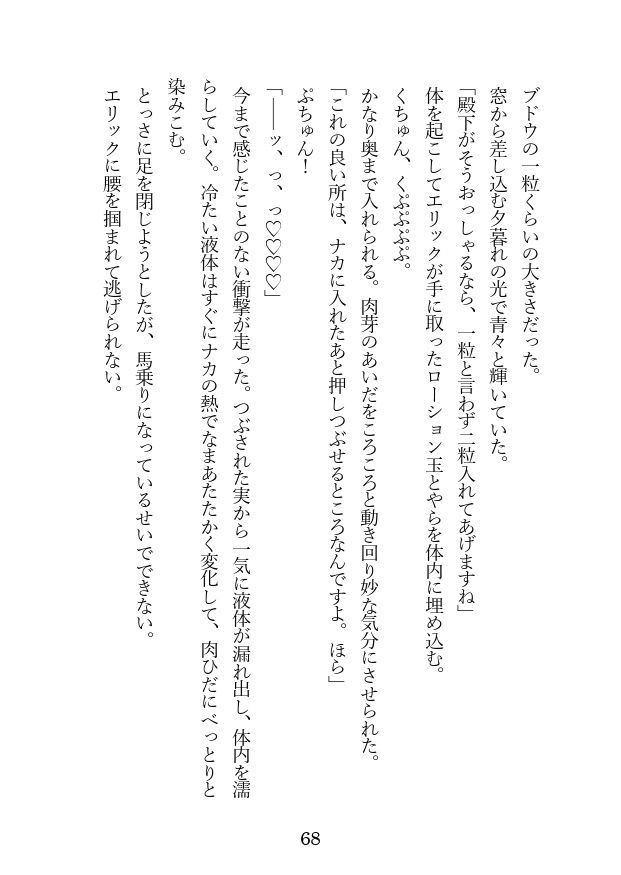 婚約破棄に異議を唱えたら、王子殿下を抱くことになった件の画像5