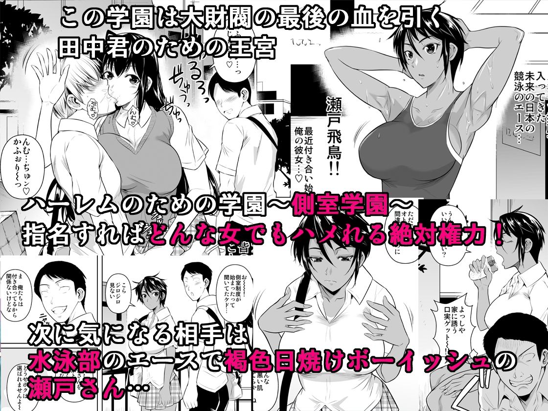 サンプル画像1:側室×即ハメ学園2(シュート・ザ・ムーン) [d_208455]