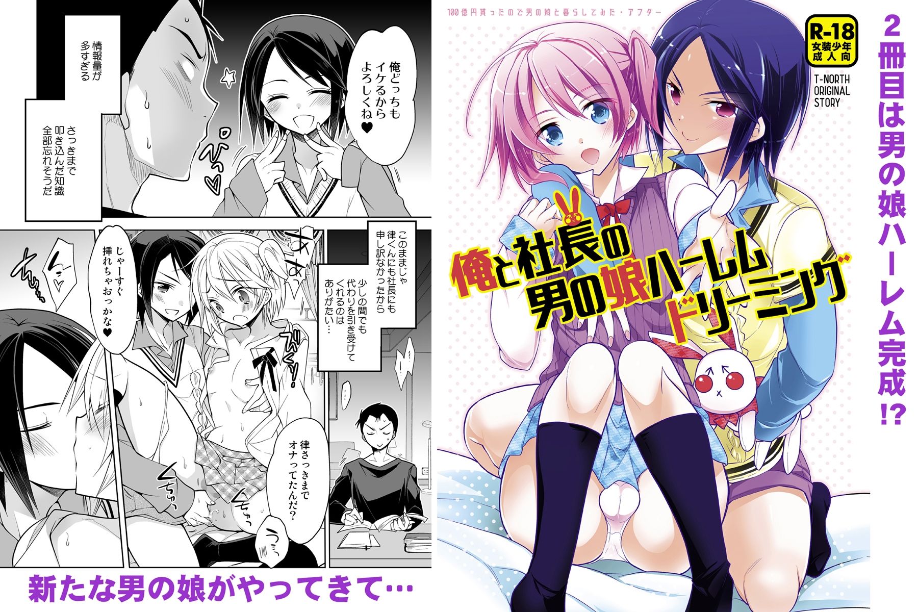 サンプル画像3:ノンケの俺が男の娘ハーレム沼にハマッた理由(T-NORTH) [d_209069]