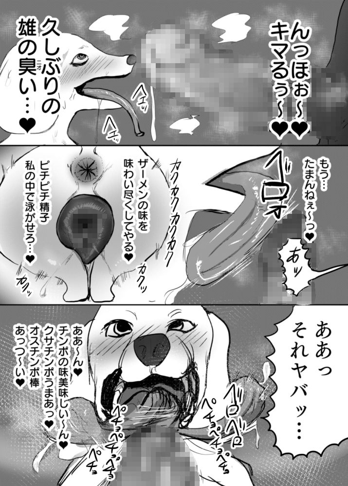 サンプル画像4:ピクシーはセクシー フェラチオ爆抜き編(正常注射) [d_209137]