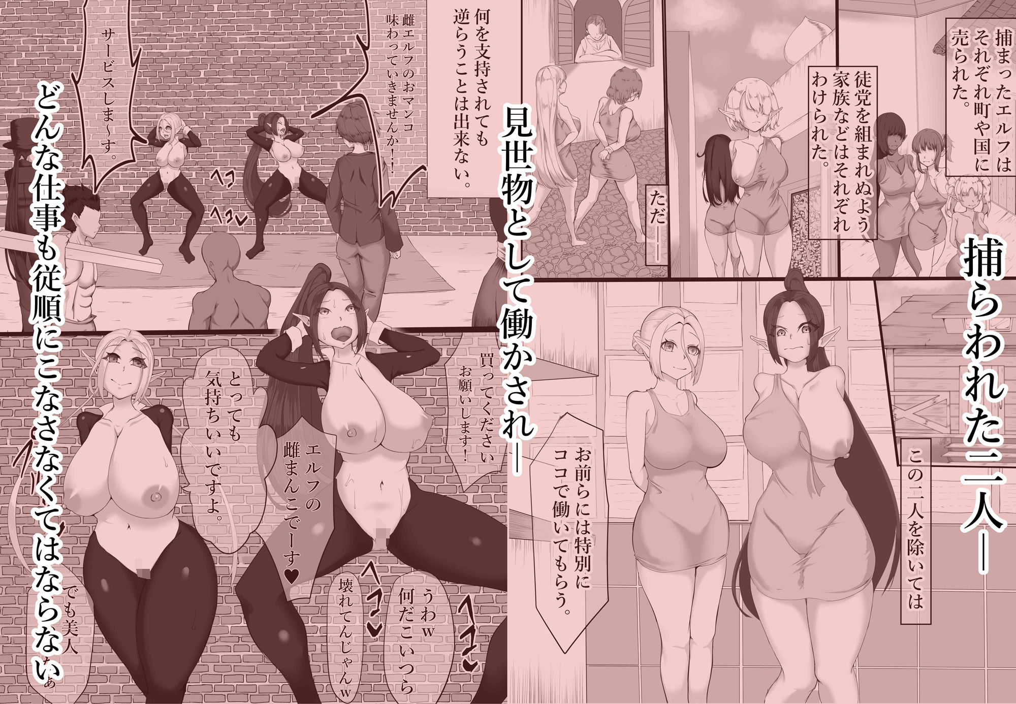 サンプル画像1:エルフ底辺奴●へと堕ちる 3(帝国) [d_212462]