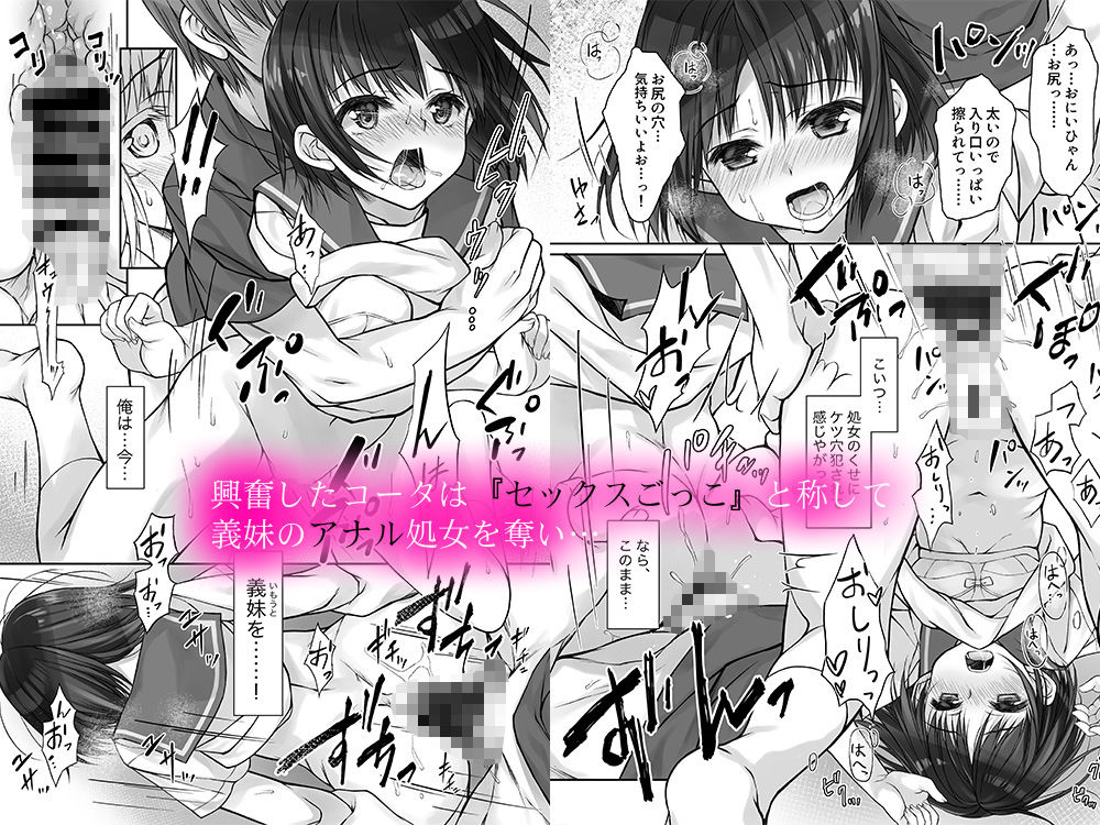 サンプル画像2:まだ恋も知らない義妹のアナルでの秘め事(だいこんぷりん酢) [d_212697]