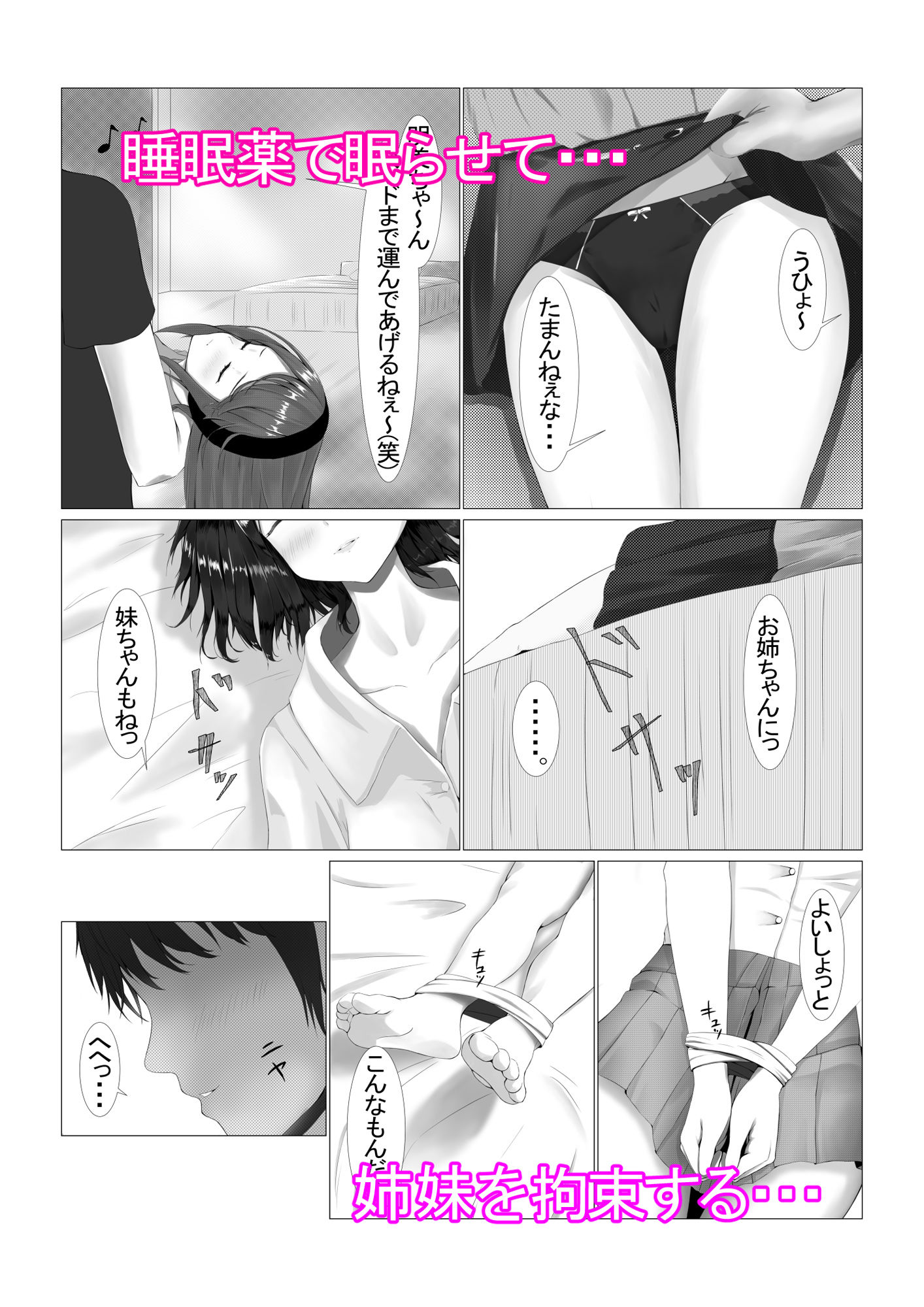 サンプル画像2:可愛い姉妹を睡眠レイ〇で寝取り計画(宮楽園) [d_213579]