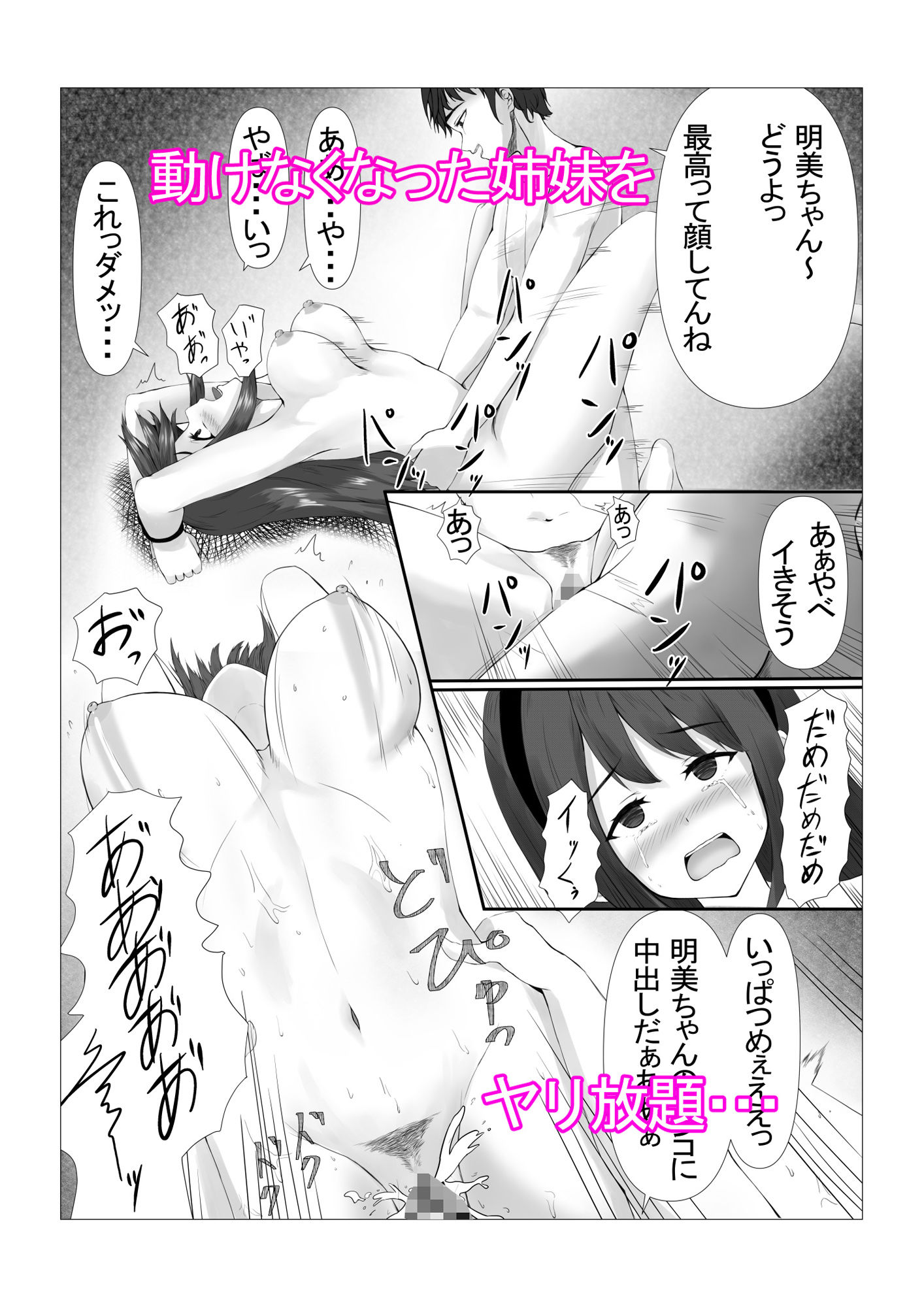 サンプル画像3:可愛い姉妹を睡眠レイ〇で寝取り計画(宮楽園) [d_213579]